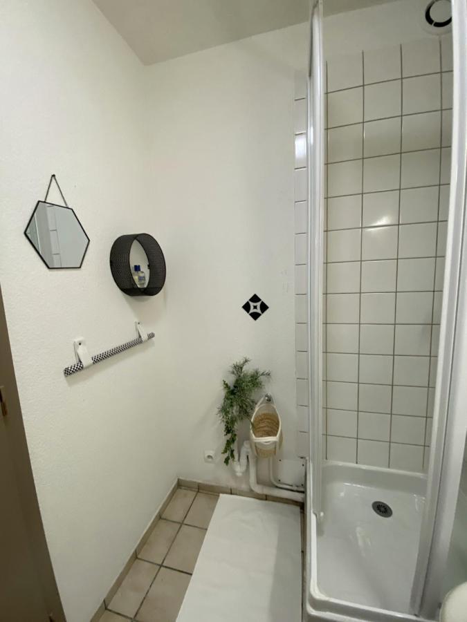 Suzanne Strasbourg Apartment Bagian luar foto
